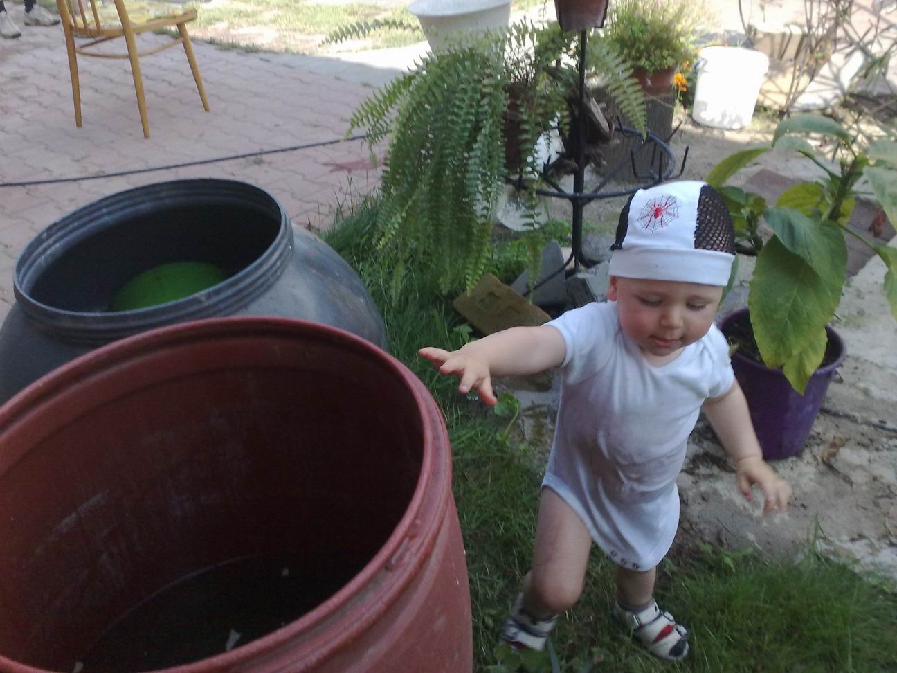 Vojta od Kačky Rychlé.jpg